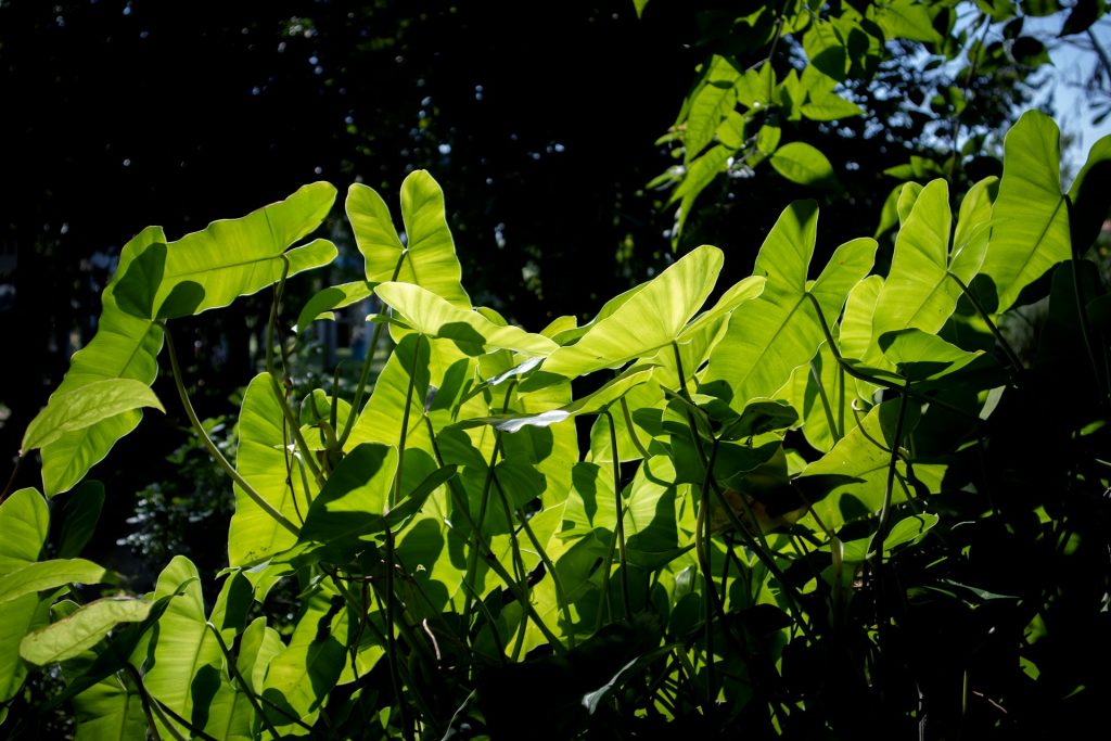 siklus air dan nutrisi tanah