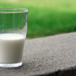 Susu kambing